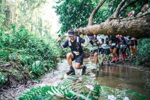 BIB: 
                            <button type="button" onclick="openModal(25475823)" class="btn btn-primary btn-sm float-right btn-popup" data-toggle="modal" data-target=".modal-high-quality">
                        <i class="fas fa-shopping-cart"></i> Add to Cart
                    </button>
                                            <button type="button" onclick="isThisMe(25475823, true)" class="btn btn-success btn-sm float-right btn-popup btn-isme hidden" data-toggle="tooltip" data-placement="bottom" title="นี่คือรูปของคุณใช่ไหม คลิกที่นี่เพื่อเอาเข้าอัลบั้ม">
                        <i class="fas fa-plus"></i> Add to album
                    </button>
                    <button type="button" onclick="isThisMe(25475823, false)" class="btn btn-warning btn-sm float-right btn-popup btn-isnotme hidden">
                        <i class="fas fa-ban"></i> Remove from album
                    </button>